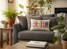 Load image into Gallery viewer, Easton Pennsylvania MultiColored Pillow