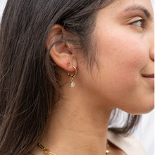 Load image into Gallery viewer, 18KT Gold PVD Birthstone Huggie Earrings