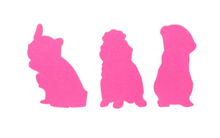 Load image into Gallery viewer, Pawfectly Chic - Girly Nail Files - Dog or Cat