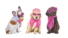 Load image into Gallery viewer, Pawfectly Chic - Girly Nail Files - Dog or Cat