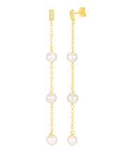 Load image into Gallery viewer, Francesca Gold Duster Earrings