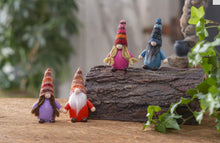 Load image into Gallery viewer, Your Very Own Worry Gnome with meaning card