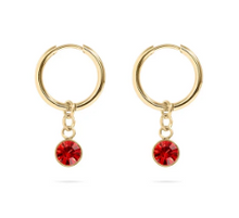 Load image into Gallery viewer, 18KT Gold PVD Birthstone Huggie Earrings