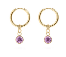Load image into Gallery viewer, 18KT Gold PVD Birthstone Huggie Earrings