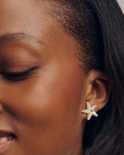 Load image into Gallery viewer, Kendra Scott Parker Starfish Stud Natural Mother of Pearl Earrings