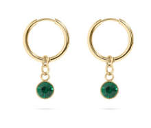 Load image into Gallery viewer, 18KT Gold PVD Birthstone Huggie Earrings