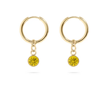 Load image into Gallery viewer, 18KT Gold PVD Birthstone Huggie Earrings