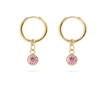 Load image into Gallery viewer, 18KT Gold PVD Birthstone Huggie Earrings