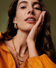 Load image into Gallery viewer, Amelia Chain Necklace in Gold or Silver