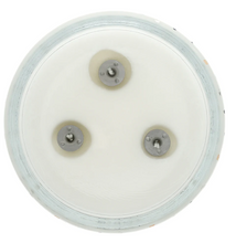 Load image into Gallery viewer, Let's Celebrate! 11oz Soy Wax Candle