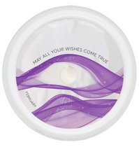 Load image into Gallery viewer, February Soy Wax Reveal