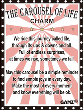 Load image into Gallery viewer, Carousel of Life Gift Charms