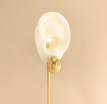 Load image into Gallery viewer, Polished Water Resistant Earrings in Gold or Silver