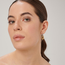 Load image into Gallery viewer, Amy Two-Tone Stainless-Steel Oval Drop Earrings by Brosway