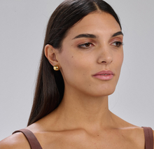 Load image into Gallery viewer, Perfect Stainless Steel Gold Stud Earrings by Brosway