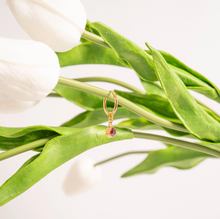 Load image into Gallery viewer, 18KT Gold PVD Birthstone Huggie Earrings