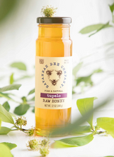 Load image into Gallery viewer, Savannah Bee Tupelo Raw Honey - Made in the USA