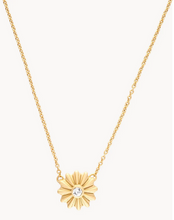Load image into Gallery viewer, Spartina Gold Celebrate Necklace