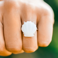 Load image into Gallery viewer, 50% OFF! Pura Vida Grande Shell Ring