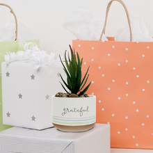 Load image into Gallery viewer, Grateful - 5" Artificial Potted Plant