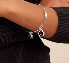 Load image into Gallery viewer, Alex and Ani February Birthstone Bangle in Silver or Gold- Amethyst