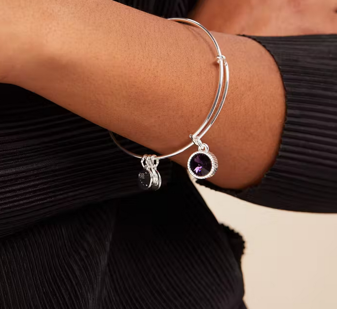 Alex and 2025 ani april birthstone