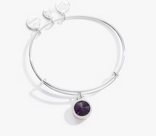 Load image into Gallery viewer, Alex and Ani February Birthstone Bangle in Silver or Gold- Amethyst