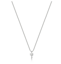 Load image into Gallery viewer, Sterling Silver Dainty Key Necklace