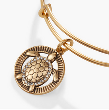 Load image into Gallery viewer, Alex and Ani Gold Turtle Path of Symbols Bracelet
