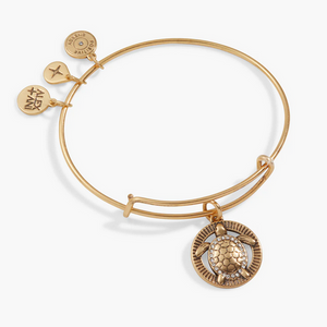 Alex and Ani Gold Turtle Path of Symbols Bracelet