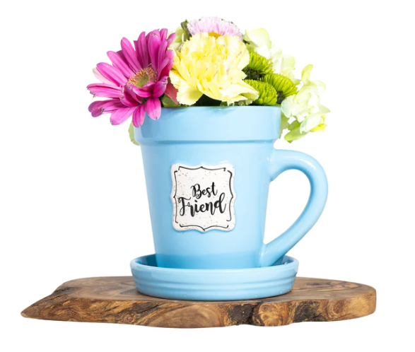best friend plant pot Best Friend Flower Pot Mug – Something Different Shopping
