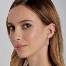 Load image into Gallery viewer, Brosway Stainless Steel Earrings- Desideri Collection
