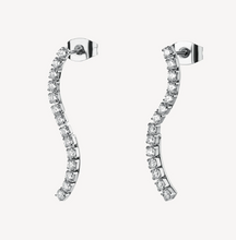 Load image into Gallery viewer, Brosway Stainless Steel Earrings- Desideri Collection
