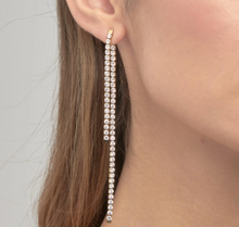 Load image into Gallery viewer, Brosway Stainless Steel Desideri Earrings
