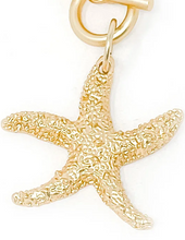 Load image into Gallery viewer, Heirloom Modern Paperclip Necklace w/ Gold Starfish

