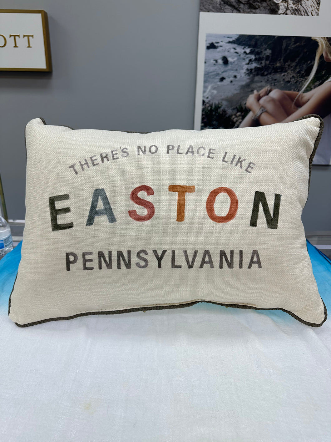 There’s No Place Like Easton Pennsylvania Multicolored Pillow