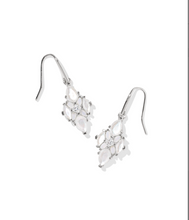 Load image into Gallery viewer, Kendra Scott Abbie Crystal Drop Earring Neutral Mix
