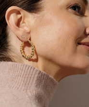 Load image into Gallery viewer, Kendra Scott Haisley Hoop Earrings Gold or Silver
