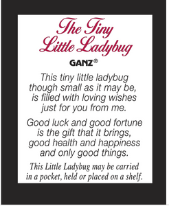 Little Ladybug Charms