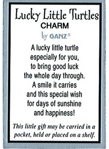 Lucky Little Turtle Charm