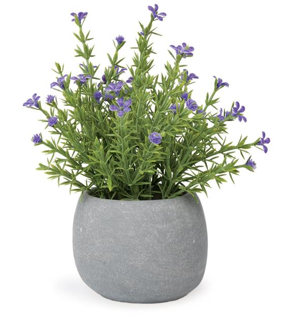 Purple Florals in Dark Gray Pot