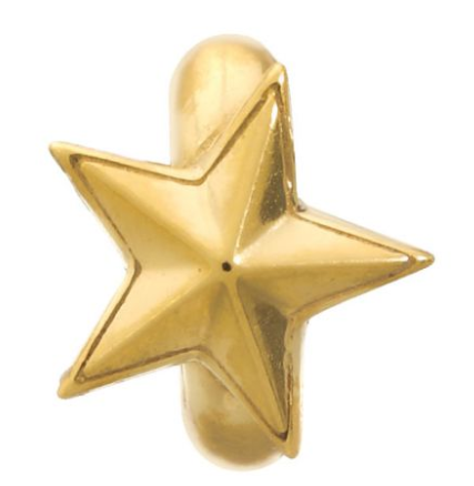 Rising Star Gold Charm