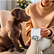 Load image into Gallery viewer, Coffee Then Walkie Dog Mug 17oz
