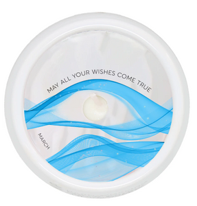 March Soy Wax Reveal