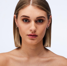 Load image into Gallery viewer, Sterling Silver Drop Earrings with Clear CZ by Brosway
