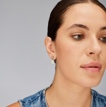 Load image into Gallery viewer, Stainless Steel Drop Earrings with Star and Clear Crystal by Brosway
