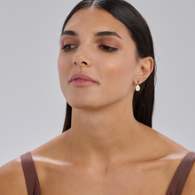 Load image into Gallery viewer, Stainless Steel Gold Plated Drop Earrings with Star and Clear Crystal by Brosway
