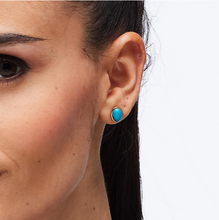 Load image into Gallery viewer, Stainless Steel Gold Earrings with Turquoise by Brosway
