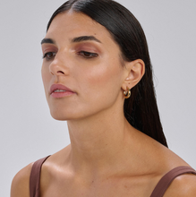 Load image into Gallery viewer, Stainless Steel Gold Plated Hoop Earrings by Brosway
