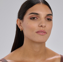 Load image into Gallery viewer, Stainless Steel gold Plated Huggie Hoop Earrings by Brosway
